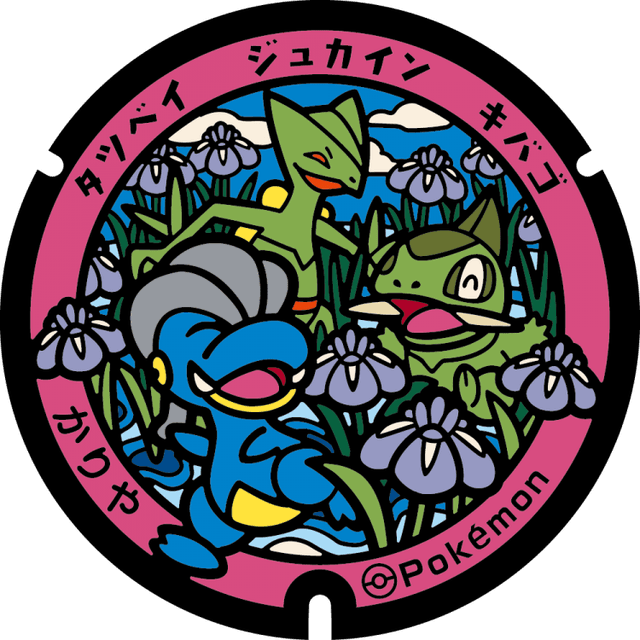 Image of pokefuta with Bagon, Sceptile, Axew