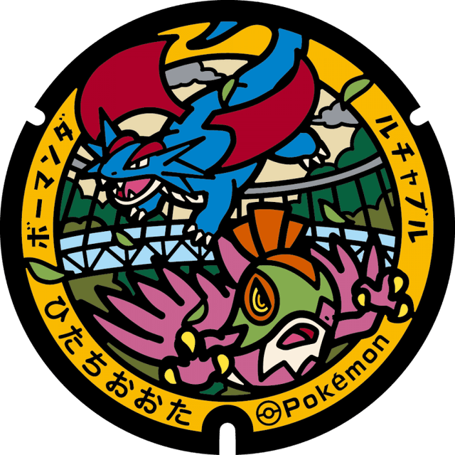 Image of pokefuta with Salamence, Hawlucha